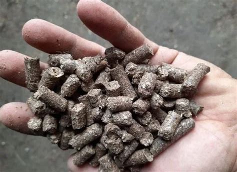 تصویر 4 از کود مرغی تبریز تقویت کننده خاک مناطق سرد